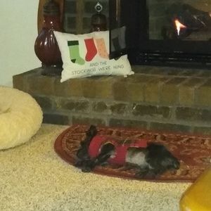 Meet your Posher, Linn